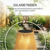 Hengende Solarlamper 2-pakning Brun Rattan IP44