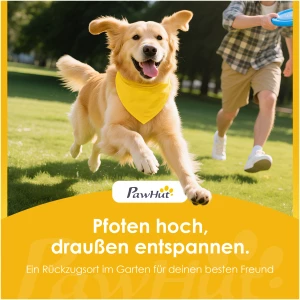 Praktisk sykkelkobling for hund med støtdemping – justerbart bånd med hurtigkobling for trygge og komfortable sykkelturer
