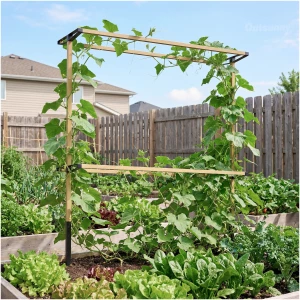 Fleksibelt Hagespalier Metall Svart Utvidbart For Bærbusker Fleksibelt Hagespalier Metall Svart Utvidbart For Bærbusker